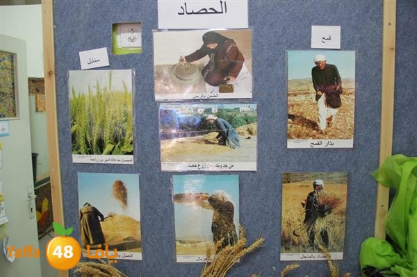 lud sesan 0611 (5).JPG